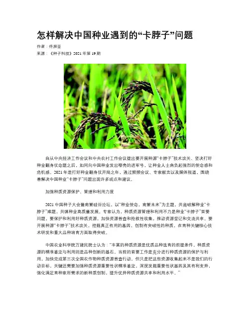 怎样解决中国种业遇到的“卡脖子”问题