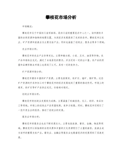 攀枝花市场分析