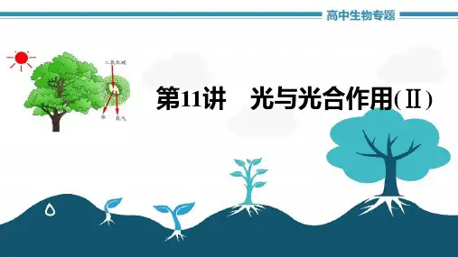高中生物《第11讲光与光合作用(Ⅱ)》课件