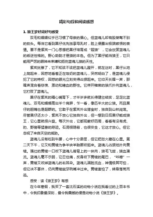 精彩句段和阅读感想