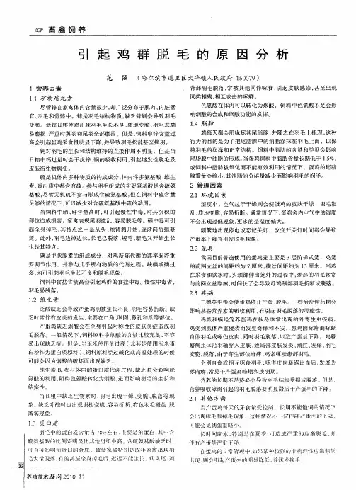 引起鸡群脱毛的原因分析