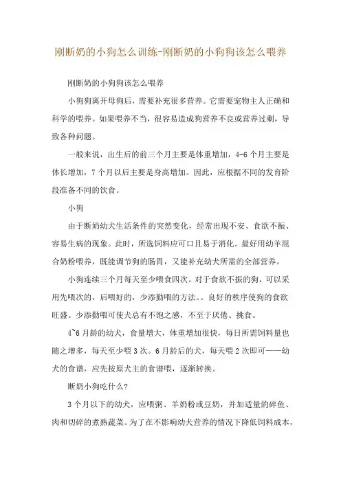 刚断奶的小狗怎么训练-刚断奶的小狗狗该怎么喂养