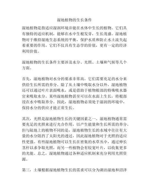 湿地植物的生长条件