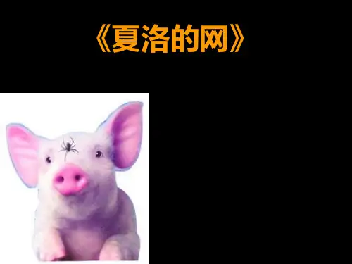 夏洛的网---ppt----最好完美版