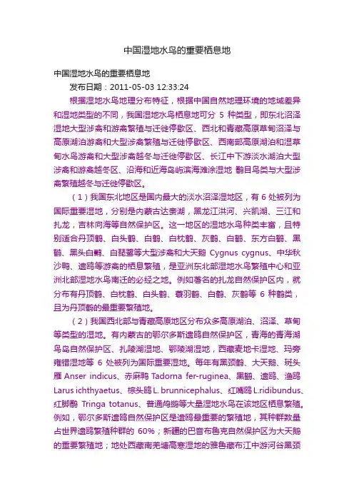 中国湿地水鸟的重要栖息地