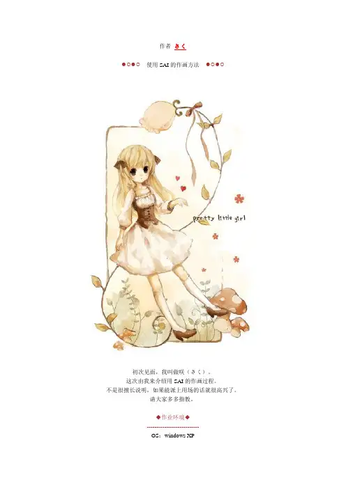 SAI教程-3