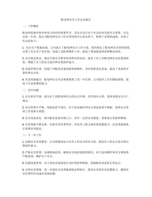 配电网安全工作总结报告