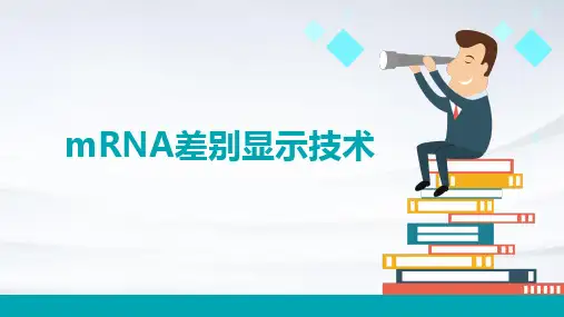 mRNA差别显示技术