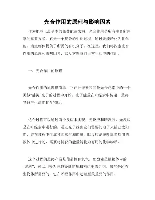光合作用的原理与影响因素