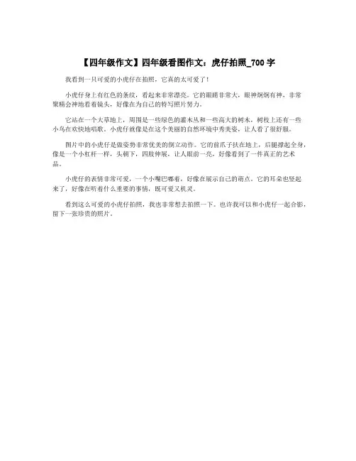 【四年级作文】四年级看图作文：虎仔拍照_700字