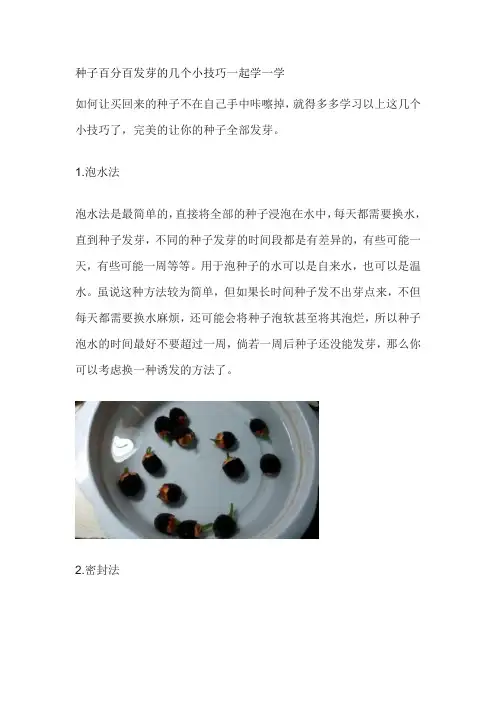 种子百分百发芽的几个小技巧一起学一学