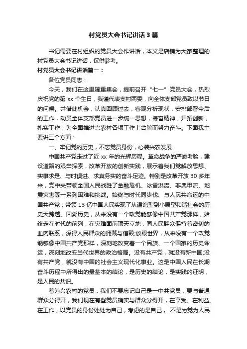 村党员大会书记讲话3篇