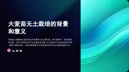 一种大麦苗的无土栽培用营养液及其制备方法和应用