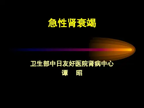 急性肾衰竭PPT课件