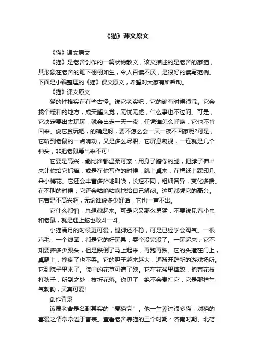 《猫》课文原文