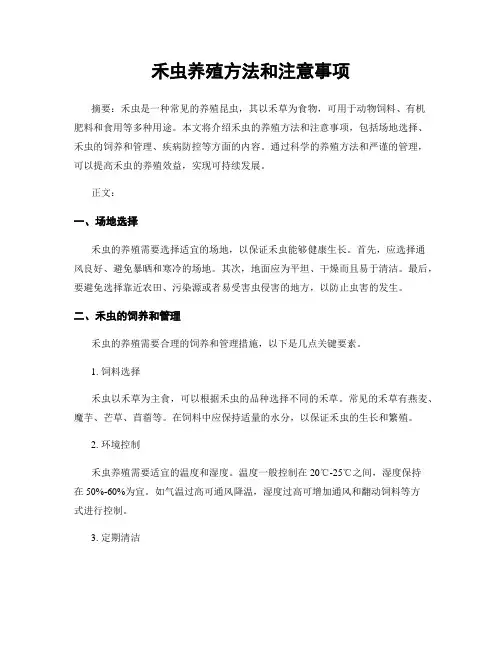 禾虫养殖方法和注意事项