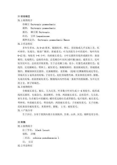 内蒙古豆科植物五
