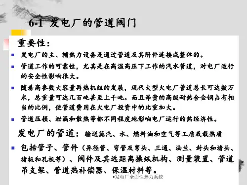 发电厂全面性热力系统