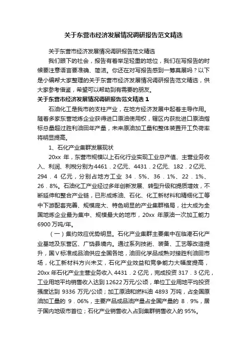 关于东营市经济发展情况调研报告范文精选