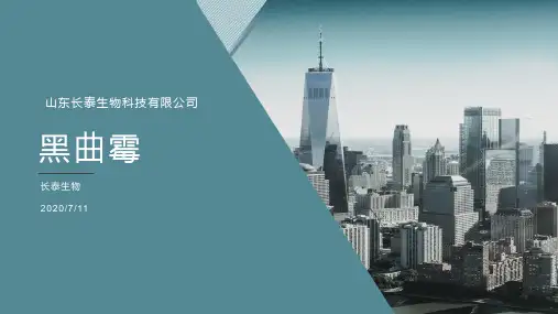 黑曲霉使用方法