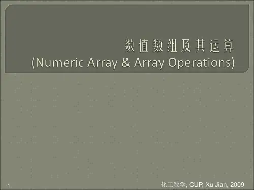 数值数组及其运算