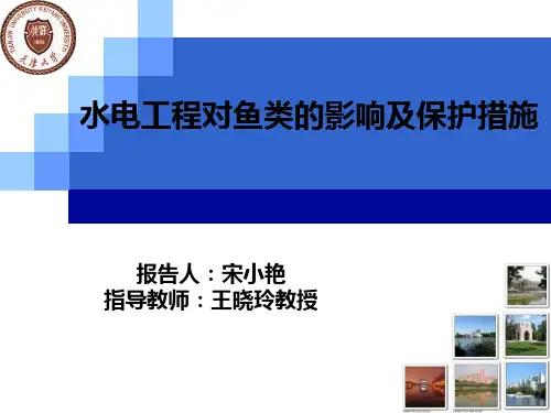 最新2019-水电工程对鱼类的影响及保护措施-PPT课件