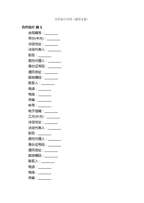 合作拍片合同（通用5篇）