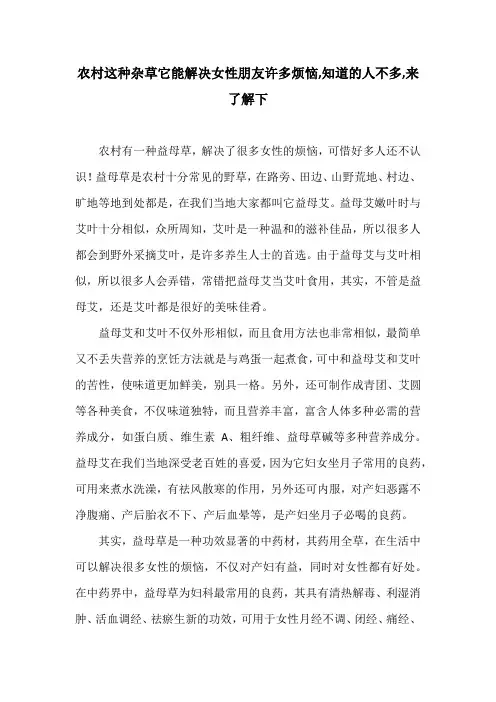 农村这种杂草它能解决女性朋友许多烦恼,知道的人不多,来了解下