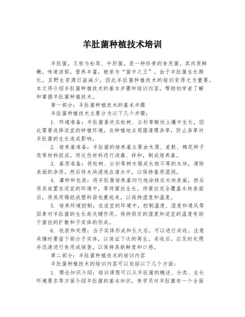 羊肚菌种植技术培训