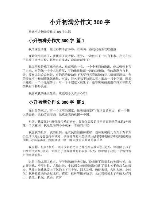 小升初满分作文300字