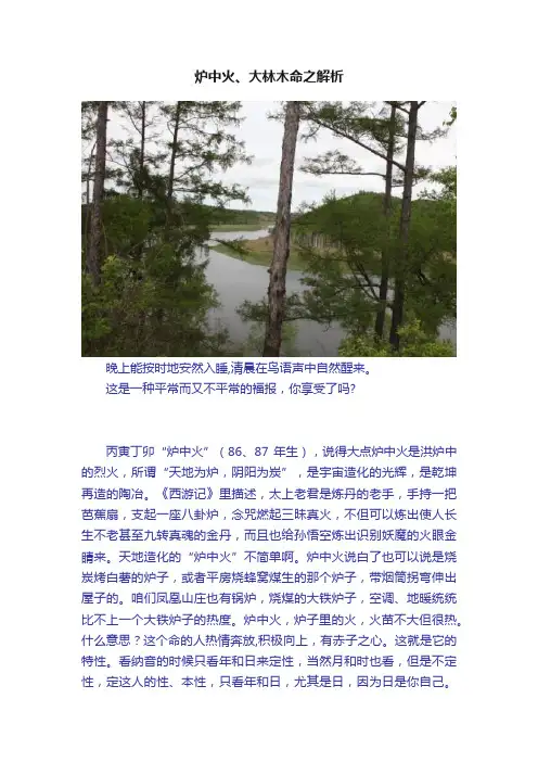 炉中火、大林木命之解析
