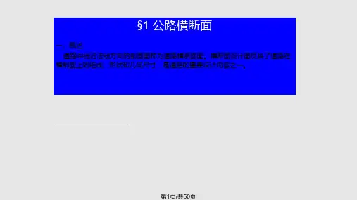 城市道路横断面设计PPT课件