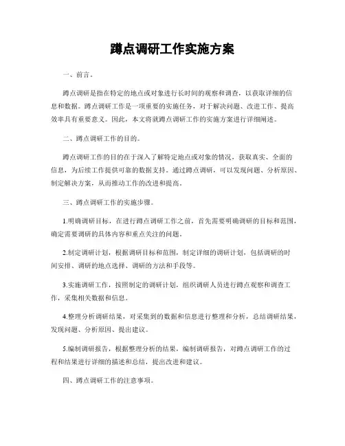 蹲点调研工作实施方案
