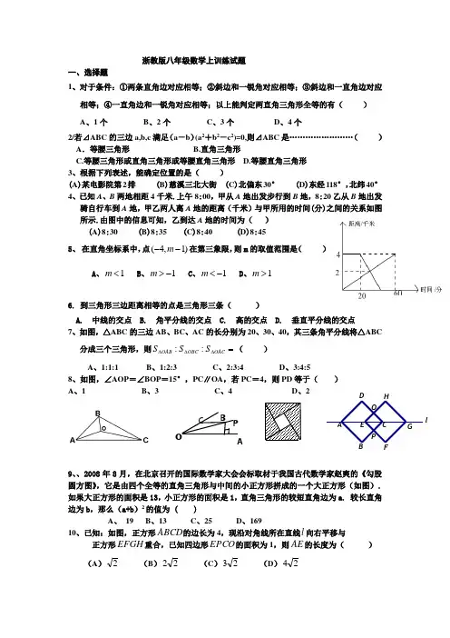 浙教版八年级数学上训练试题