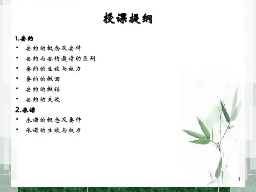 要约承诺.ppt