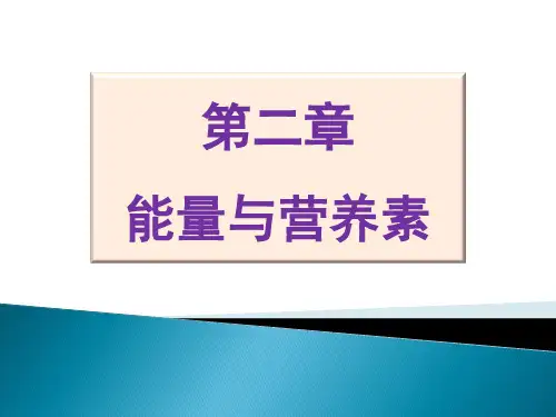 能量与营养素