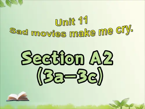Unit11SectionA3a_3c课件人教版英语九年级全册