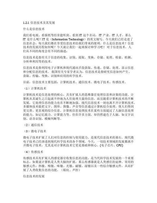 12信息技术及其影响