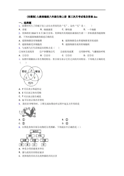 (完整版)人教部编版八年级生物上册 第三次月考试卷及答案doc