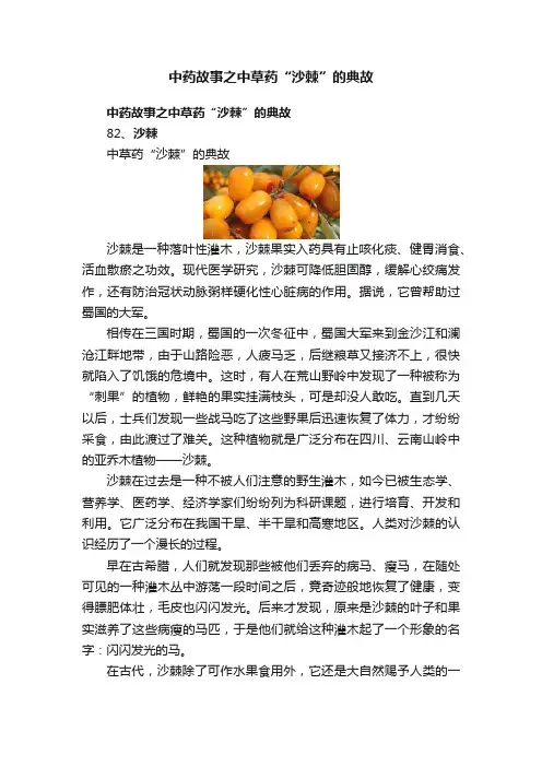 中药故事之中草药“沙棘”的典故