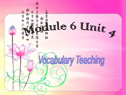选修六Unit4词汇教学课件