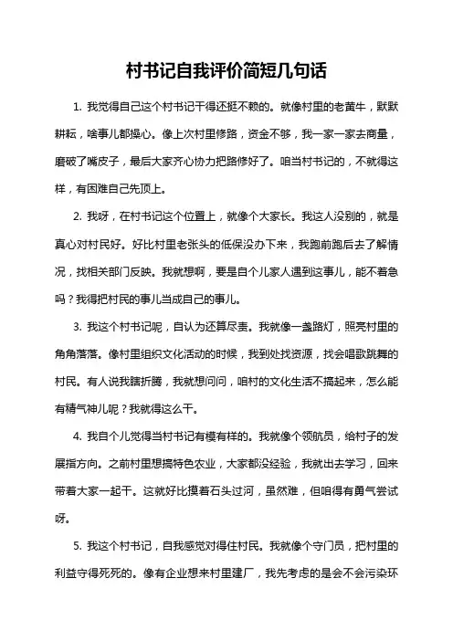 村书记自我评价简短几句话