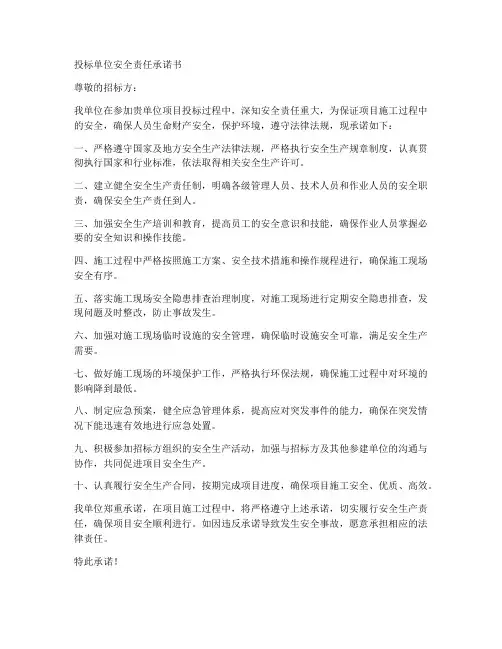 投标单位安全责任承诺书