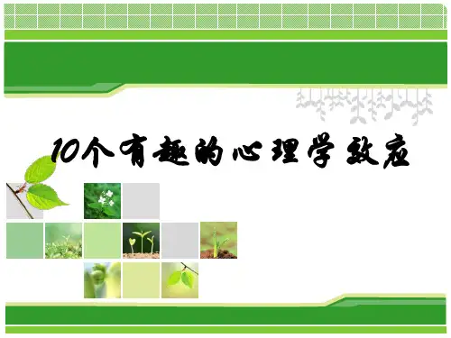 10个有趣的心理学效应