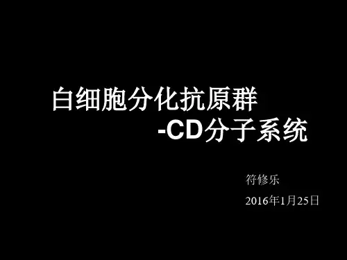 白细胞分化抗原群-CD分子系统
