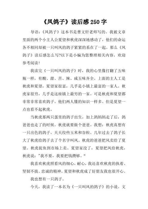 《凤鸽子》读后感250字