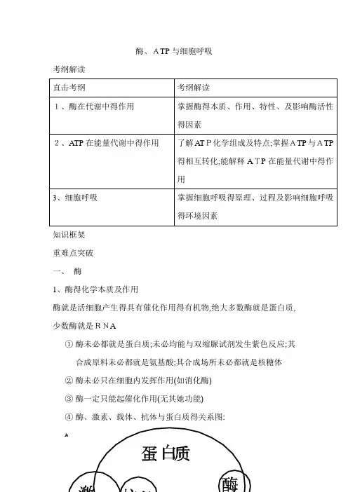 酶知识总结