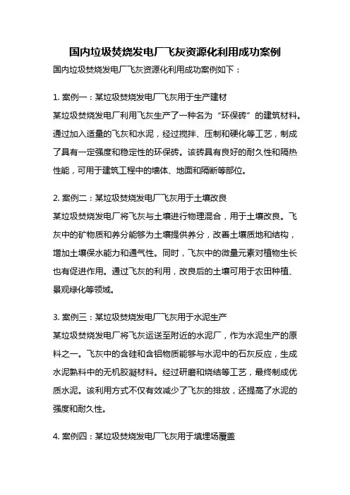 国内垃圾焚烧发电厂飞灰资源化利用成功案例