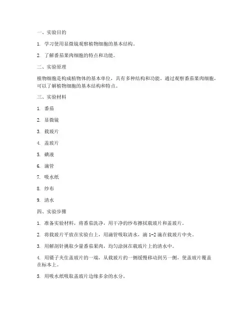 番茄果肉细胞实验报告