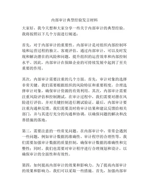 内部审计典型经验发言材料